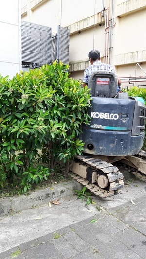 桃園大溪小型怪手挖土機